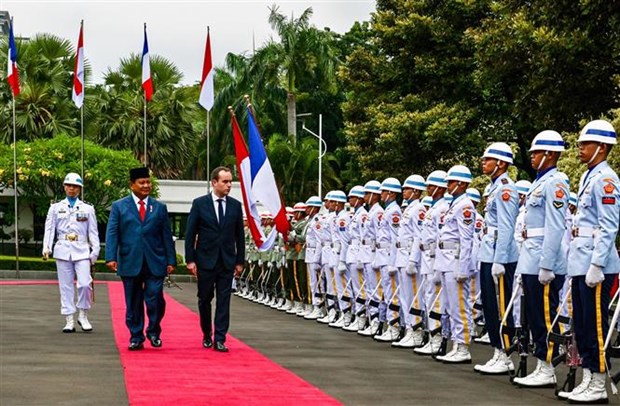 France eyes to beef up ties with Southeast Asian nations hinh anh 1