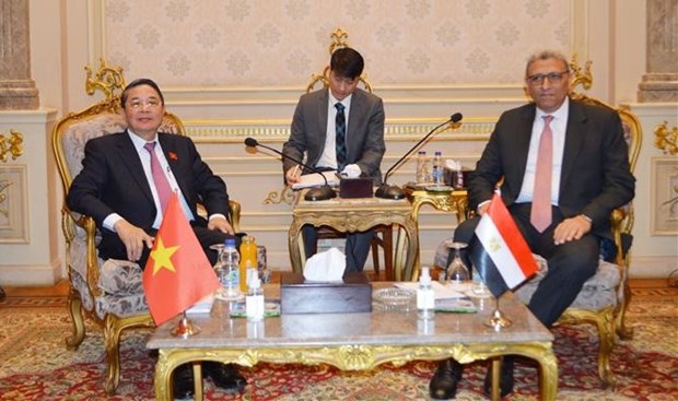 NA Vice Chairman pays working visit to Egypt hinh anh 1