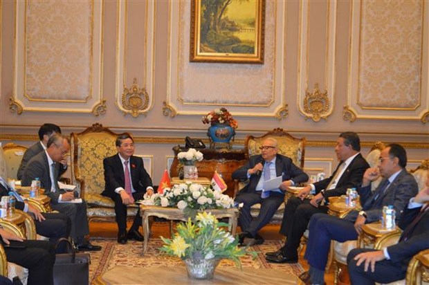 NA Vice Chairman pays working visit to Egypt hinh anh 2
