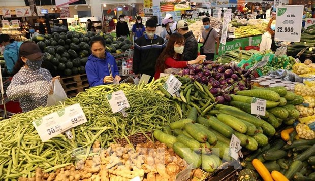 Eleven-month CPI increases 3.02% year on year hinh anh 1