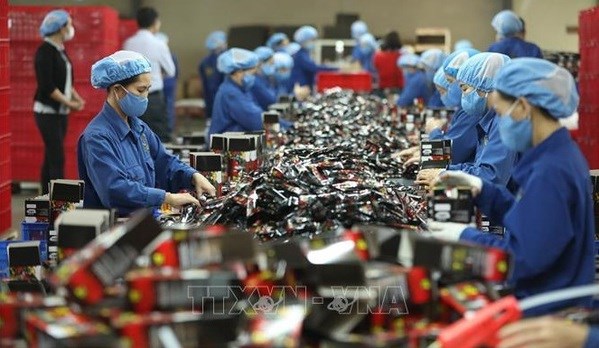 Improving labour productivity crucial to sustainable economic growth: experts hinh anh 1