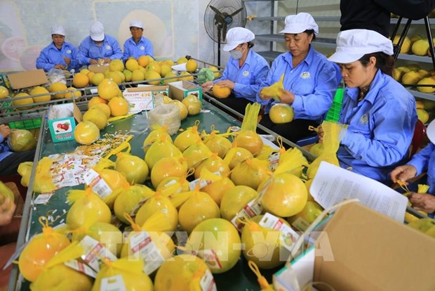 Green transition creates opportunities for Vietnam's export: forum hinh anh 1