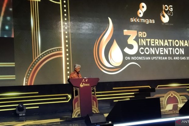 Indonesia needs 179 bln USD for upstream oil, gas industry hinh anh 1