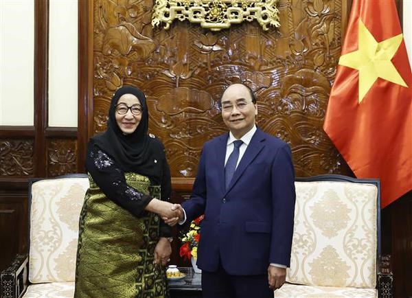 President receives new ambassadors from Azerbaijan, Brunei hinh anh 2