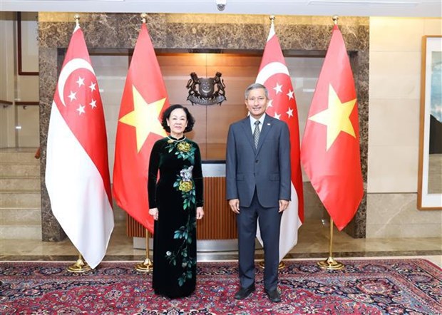CPV delegation visits Singapore to enhance cooperation hinh anh 1