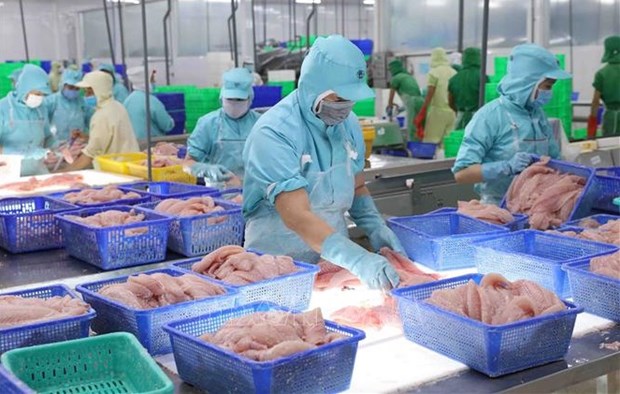 Fishery exports exceed 10 billion USD in 11 months hinh anh 2