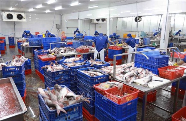 Fishery exports exceed 10 billion USD in 11 months hinh anh 1