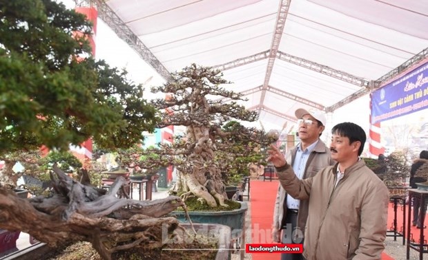 Hanoi: farm produce, handicrafts fair to take place this month hinh anh 1
