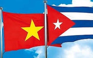 Congratulations sent to Cuban leaders on 62nd anniversary of diplomatic ties hinh anh 1