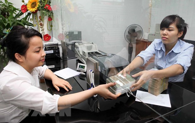 Central bank works to tighten legal framework for cooperative credit institutions hinh anh 1