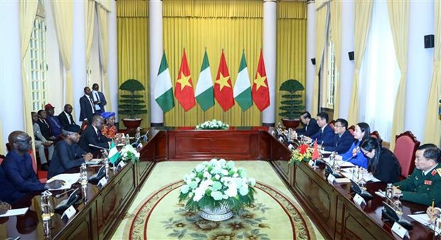 Vietnam, Nigeria seek measures to deepen relations hinh anh 1