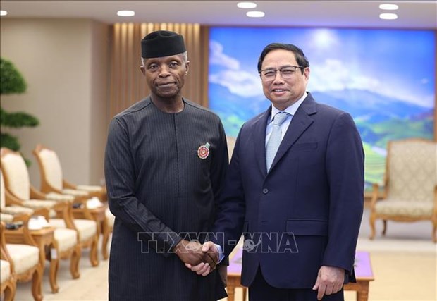 Prime Minister hails growing Vietnam-Nigeria ties hinh anh 1
