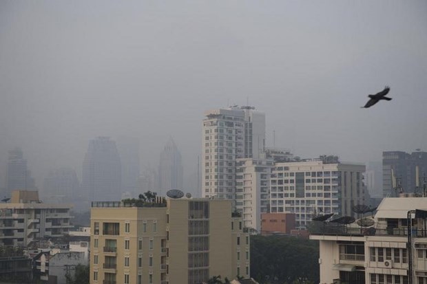 Thailand strengthen actions against fine dust pollution hinh anh 1