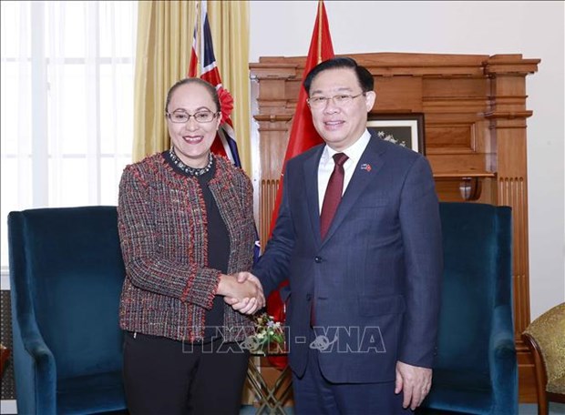 Vietnam, New Zealand vow to step up cooperation in different areas hinh anh 1