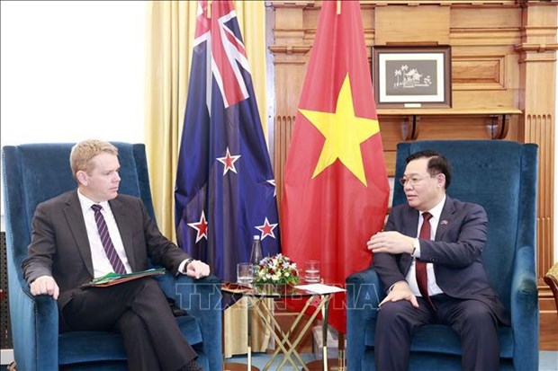 Vietnam, New Zealand vow to step up cooperation in different areas hinh anh 3