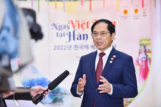 Vietnam - RoK relations to flourish even more across all fields: minister hinh anh 2