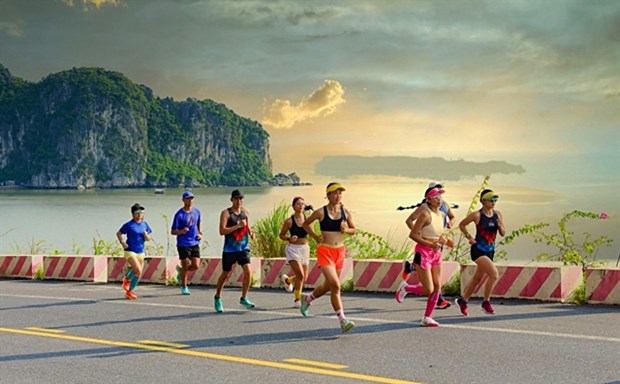 OneWay Marathon offers unique sports tourism experience hinh anh 1