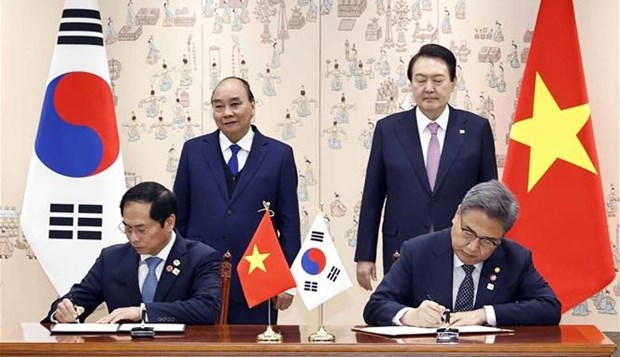 Vietnam - RoK relations to flourish even more across all fields: minister hinh anh 1