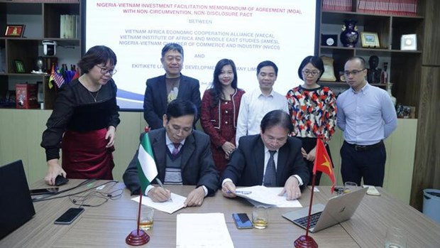 Vietnamese agencies cooperate in cattle breeding with Nigerian partners hinh anh 1