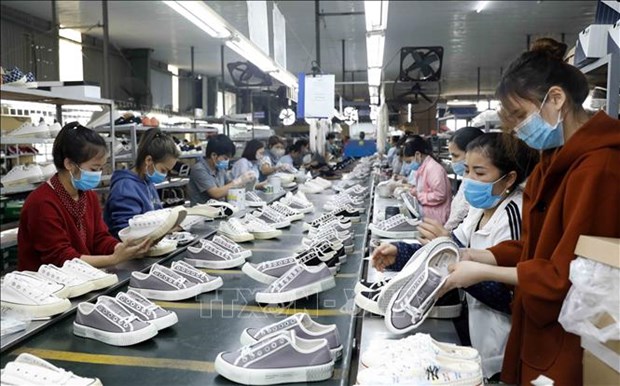 Vietnamese firms seek to tap benefits from EVFTA hinh anh 1