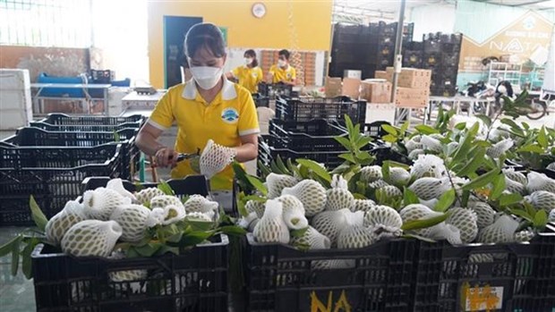 Business association helps connect Vietnamese, Malaysian firms hinh anh 1