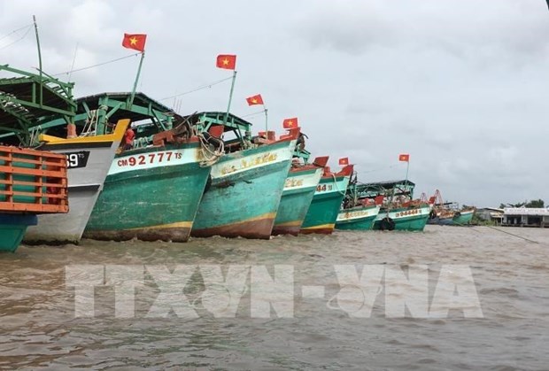 Tien Giang’s communications work on IUU fishing pays off hinh anh 1