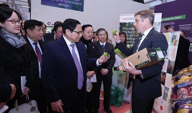 Prime Minister visits Netherlands’ agriculture innovation hub hinh anh 1