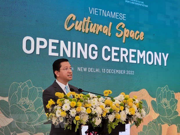 Forum promotes Vietnam’s tourism in India hinh anh 1