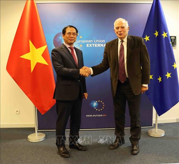 EU considers Vietnam among most important partners in Indo-Pacific hinh anh 1
