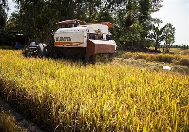 Vietnam eyes double investment in agriculture to 34 billion USD by 2030 hinh anh 1