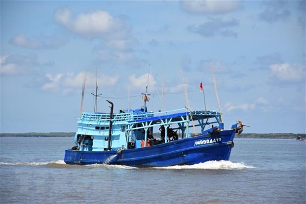 Khanh Hoa province makes progress in combating IUU fishing hinh anh 2