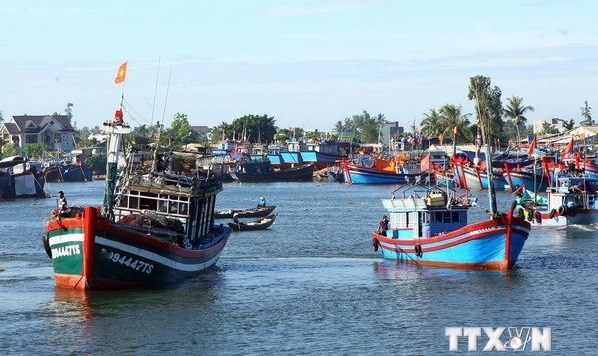 All illegal fishing activities to be punished strictly: deputy minister hinh anh 1