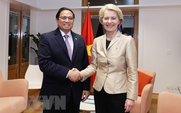 Prime Minister’s tour of Europe highly successful: Foreign Minister hinh anh 1