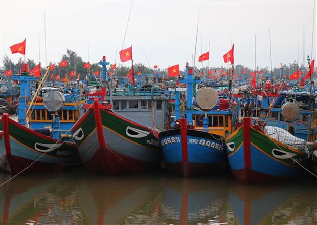 Quang Ngai records improvement in fishermen’s awareness of IUU fishing hinh anh 1