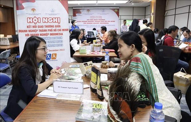 Vietnam, Indonesia have potential to boost economic partnership: Experts hinh anh 1