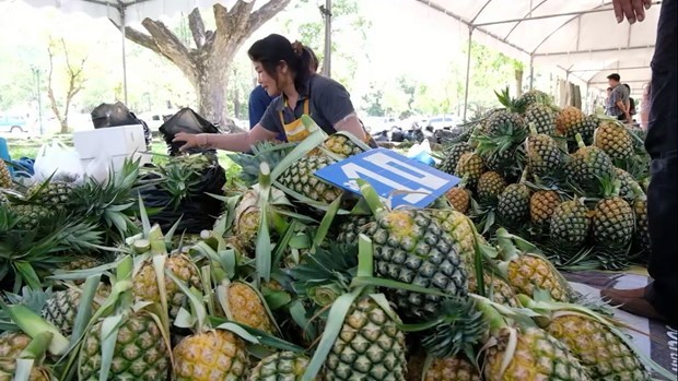 Thailand to establish “pineapple metropolis” in 2023 hinh anh 1