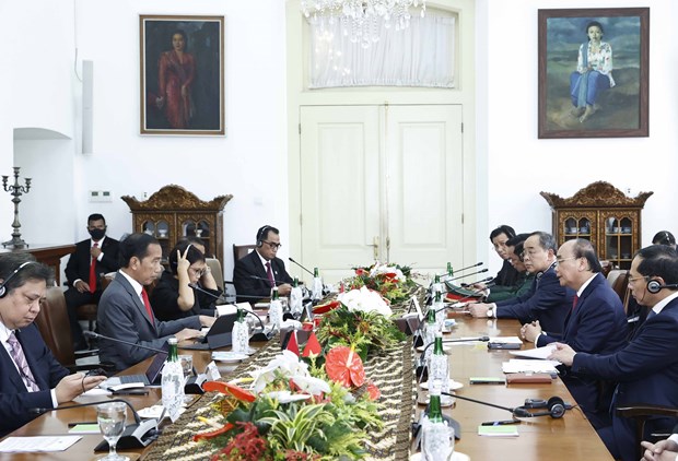 Vietnamese President holds talks with Indonesian counterpart hinh anh 2