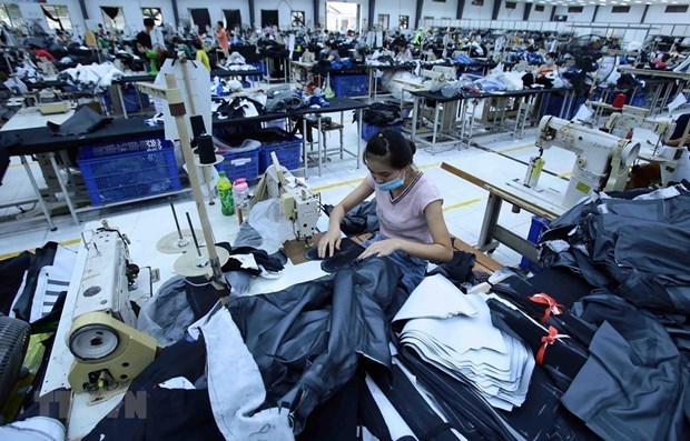 Vietnam’s textile, garment exports to Indonesia increasing: TexPro hinh anh 1