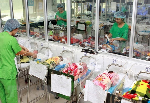 Vietnam’s population quality improved: report hinh anh 1