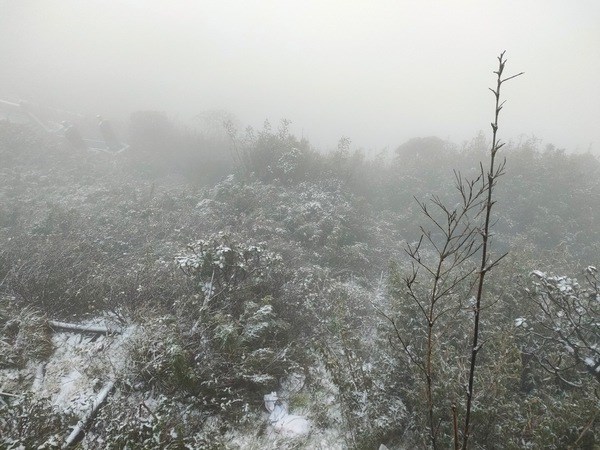 Snow covers top of Mount Fansipan hinh anh 2