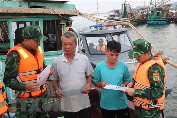 Agriculture ministry asked to build 180-day action plan against IUU fishing hinh anh 1
