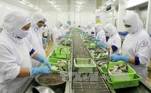 Ca Mau targets 1.3 billion USD from exports next year hinh anh 1
