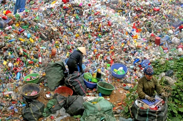 Fees charged for recycling to take effect in 2024 hinh anh 1