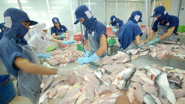 Strong growth recorded in tra fish exports to ASEAN markets hinh anh 1