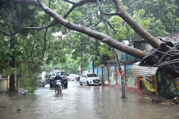 Fewer storms to hit Vietnam this year hinh anh 1