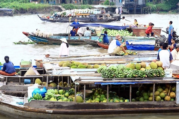 Mekong Delta needs further coordination to boost tourism hinh anh 1