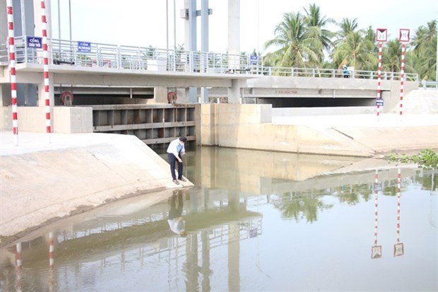 Mekong Delta begins work to keep saltwater at bay during dry season hinh anh 1
