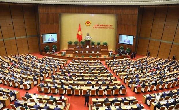 NA’s second extraordinary session opens hinh anh 1