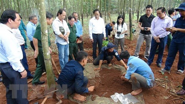 Remains of 50 more Vietnamese martyrs unearthed in Cambodia hinh anh 1