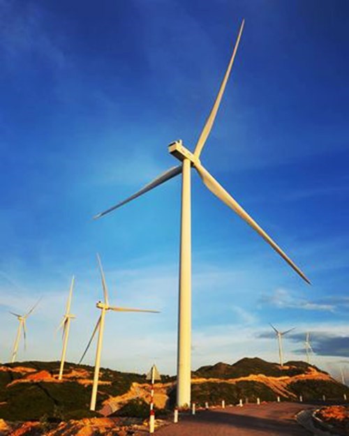 Vietnam’s offshore wind power attractive to foreign investment hinh anh 2